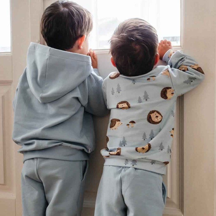 Blue children's sweatshirt with hedgehog print