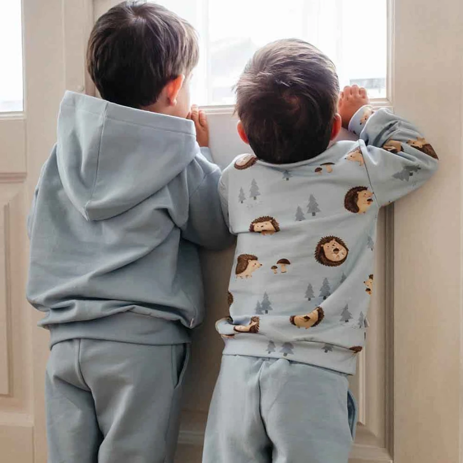 Blue children's sweatshirt with hedgehog print