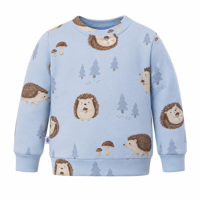 Blue children's sweatshirt with hedgehog print