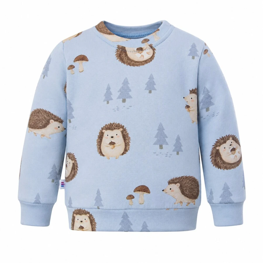 Blue children's sweatshirt with hedgehog print