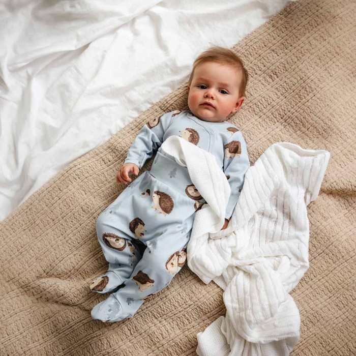 Blue baby footed pants with hedgehog print