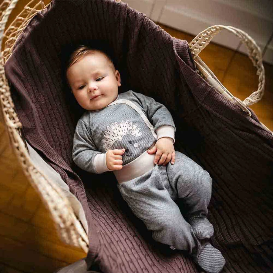 Grey striped baby footed pants with hedgehog embroidery