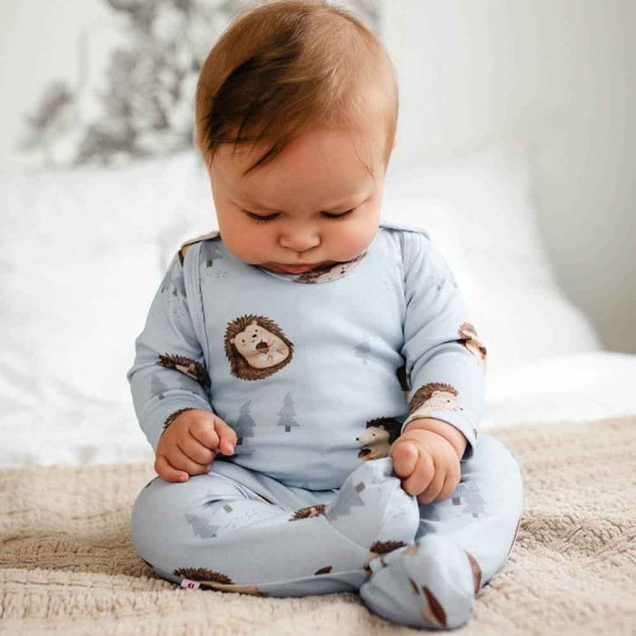 Blue baby sleepsuits with hedgehogs