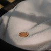 Ecru Baby Stroller Footmuff in Teddy Fleece