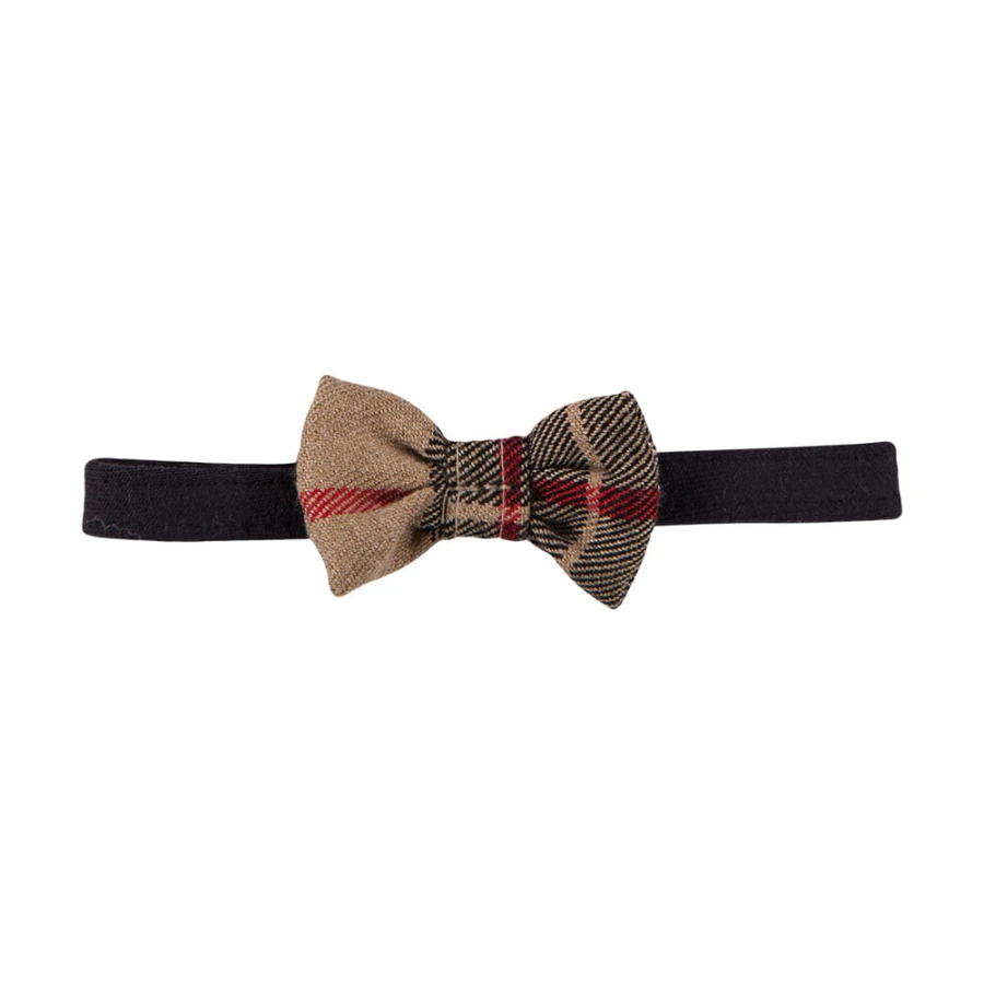 Dětský motýlek elegantní v béžovém káru