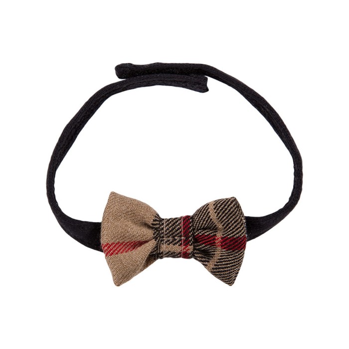 Dětský motýlek elegantní v béžovém káru