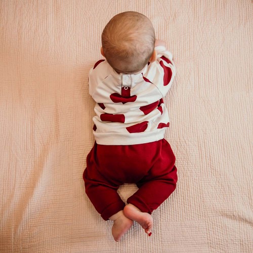 Pants maroon 